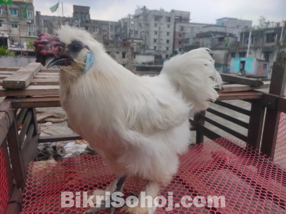 টপ কোয়ালিটি এক সেট সিল্কি